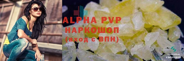 сатива Козловка
