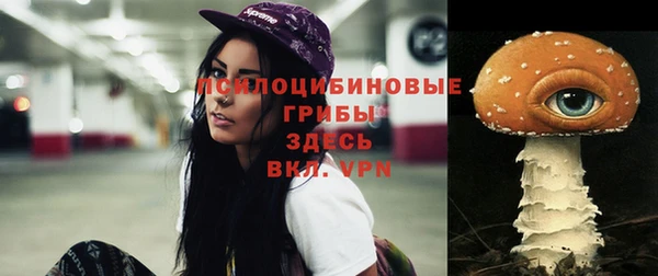 метадон Кинешма
