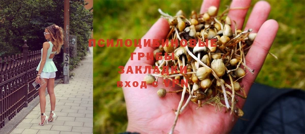 метадон Кинешма