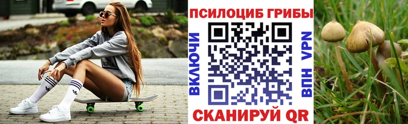 Псилоцибиновые грибы Psilocybe Западная Двина